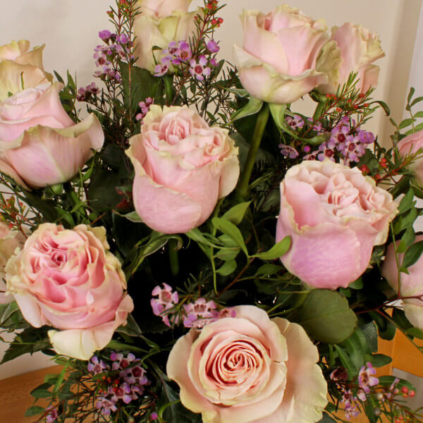 Pretty in Pink - Image 2
