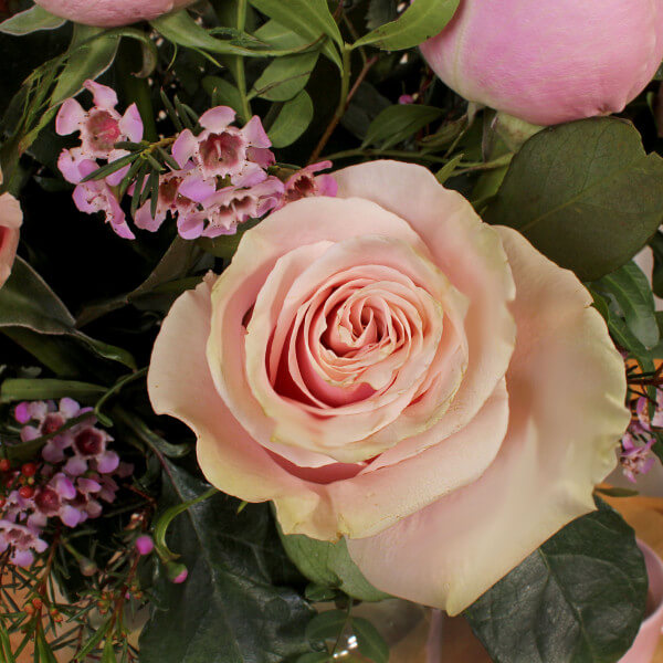 Pretty in Pink - Image 3