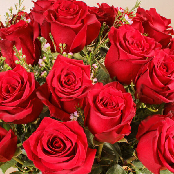 Luxury Two Dozen Red Roses - Image 3