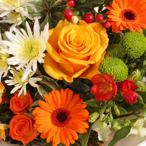 Must Be Love - Image 3